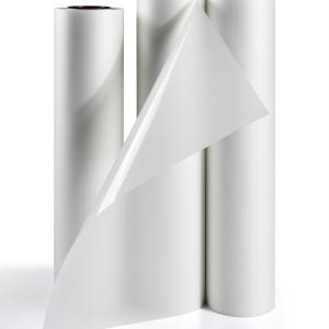 Double Side Hot Peel-off DTF Pet Film for DTF Printing